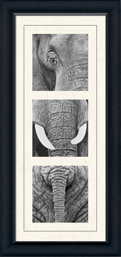 Elephant Tyiptich